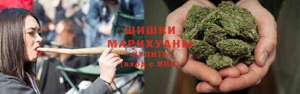 стаф Арсеньев