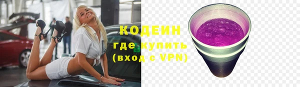 стаф Арсеньев