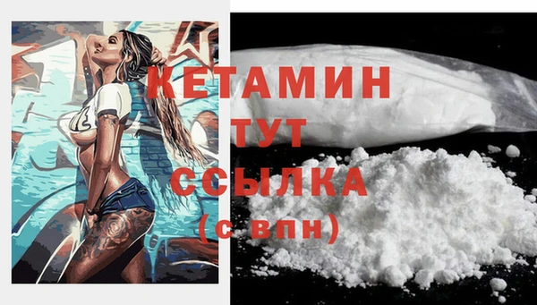 стаф Арсеньев