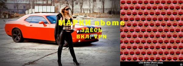 стаф Арсеньев