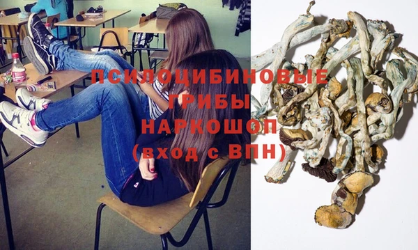 дурь Аркадак