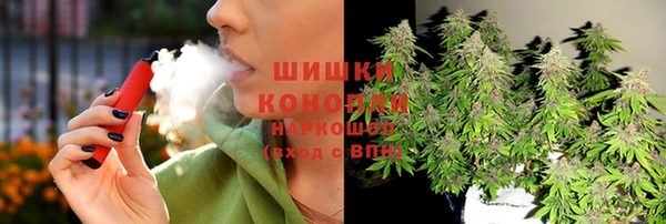 стаф Арсеньев